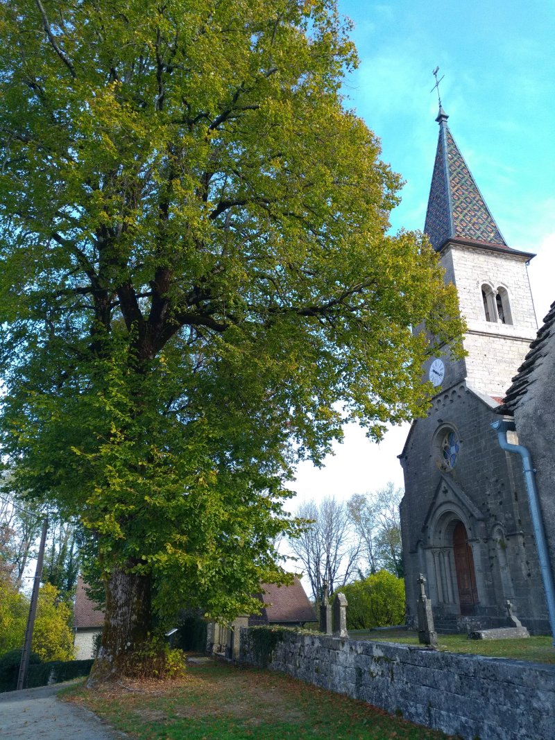 Eglise Saint Ferreol et Saint Ferjeux