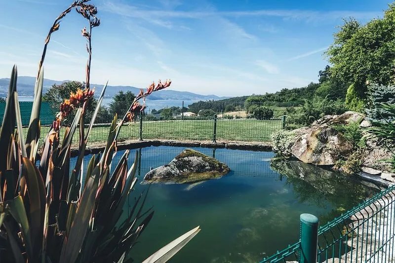 Samieira: Country holiday home - Pontevedra
