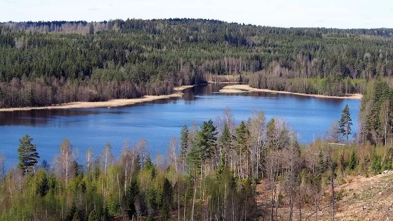 Child friendly house - suitable for 2 families - on a sunny spot, lake, boat