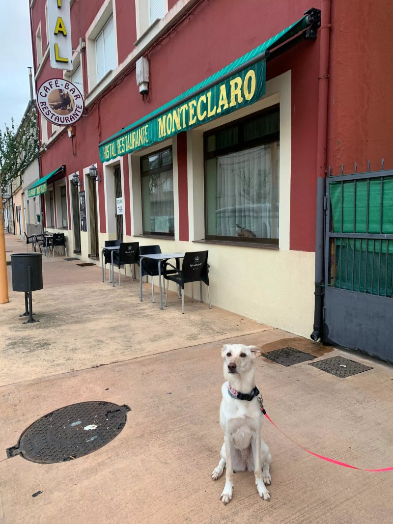 Hostal Monteclaro