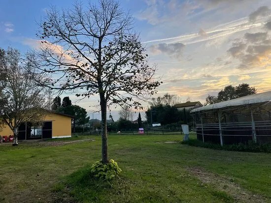 Playfarm Da Gina