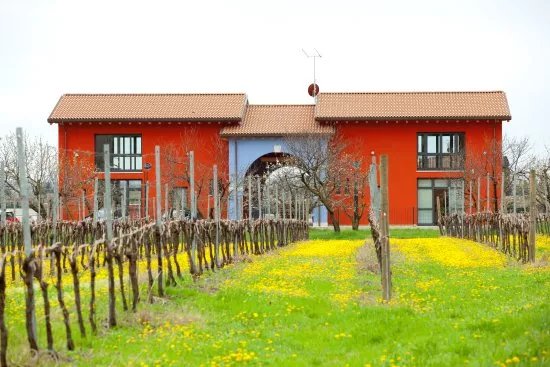 La Dama Vini