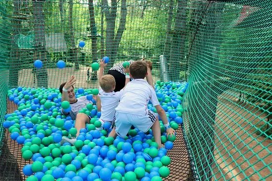 Foret Adrenaline Rennes