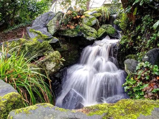 Endcliffe Park