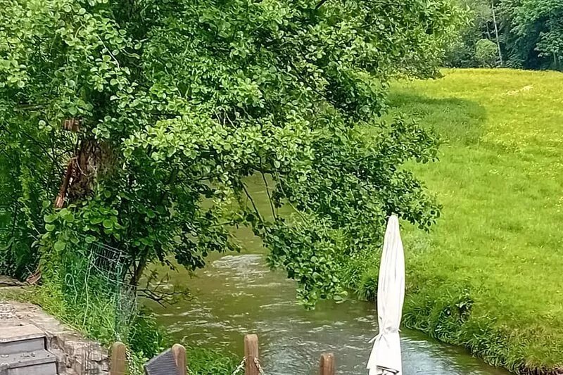 Mosel FeWo 4-star between Trier & Bernkastel Kues direct access to the garden