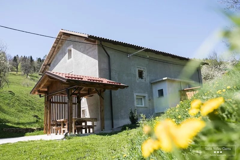 AMBER Apartment in the mountains