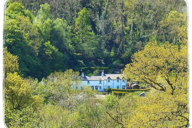 Cosy Cottage in serene picturesque Welsh valley . SUMMER OFFER !