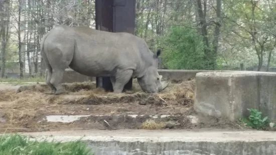 Zoo Sofia