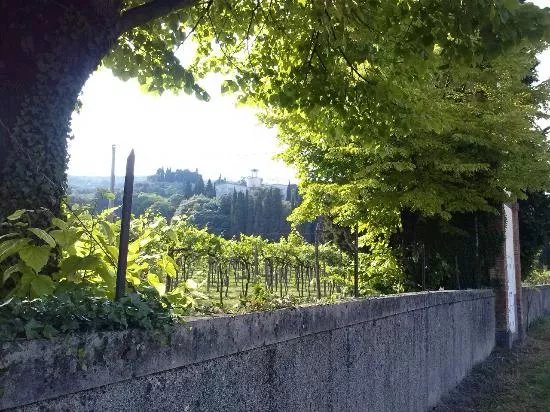 Villa il girasole marcellise