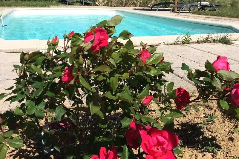 Le Vieux Pressoir, gîte for 4 people near Uzès, peaceful vacation in the