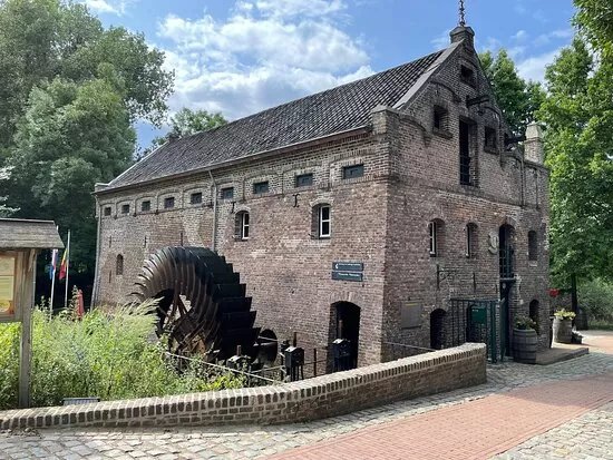 De IJsvogel