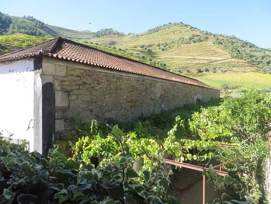 Quinta do Infantado