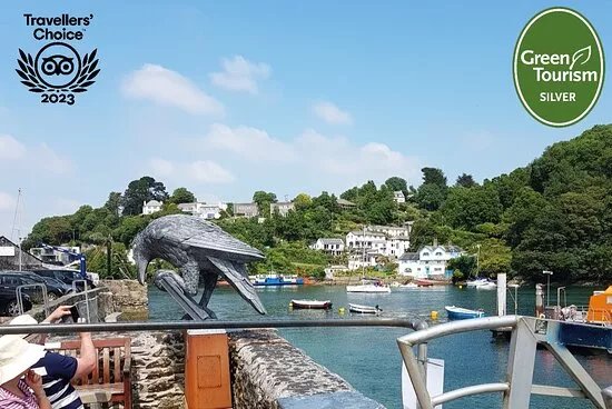 Lucy Daniel Guide Fowey Cornwall
