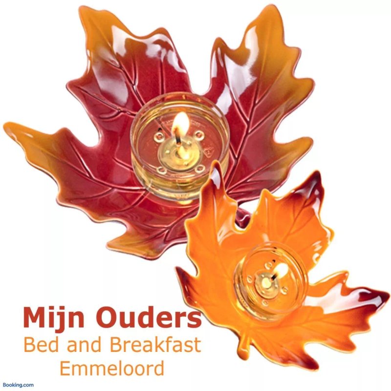 Mijn Ouders Bed En Breakfast