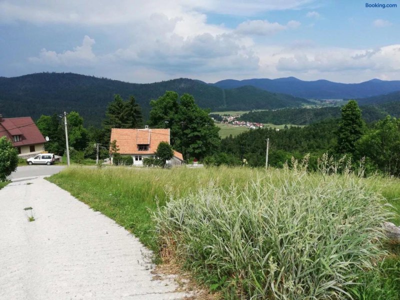 Zeleni Brig