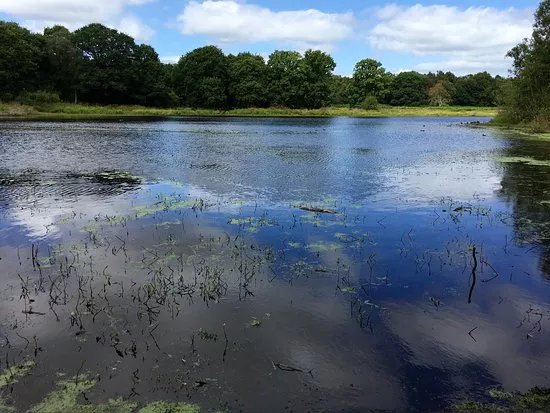 Brown Moss countryside site
