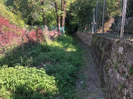 sentiero per Rebolgiane