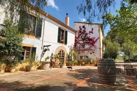 Can Piza Boutique Winery