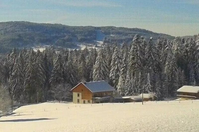 Nature cottage, hot tub, sauna and billiards. Dogs accepted