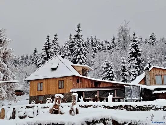 Cabana Pensiunea adi si mia cu pastravarie