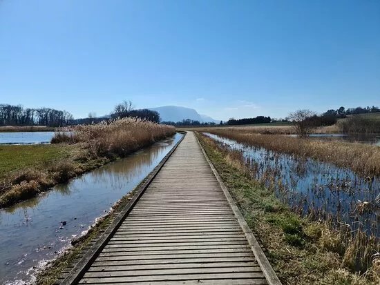 Marais De Sionnet