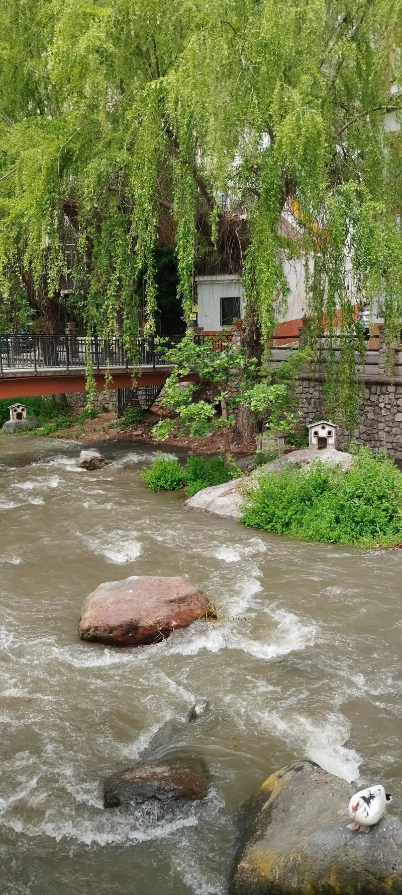 El Refugio