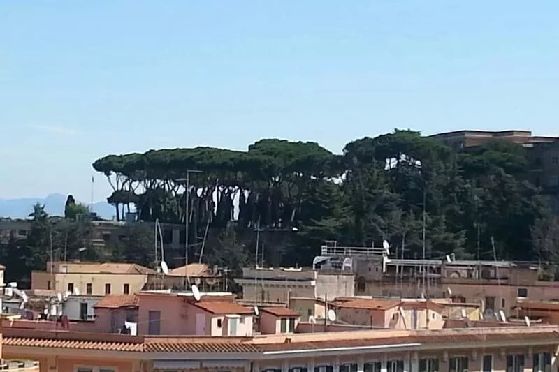 PRISCILLA' SUITE & PARKING AT ST.PETER' S BASILICA + FREE CALLS TO