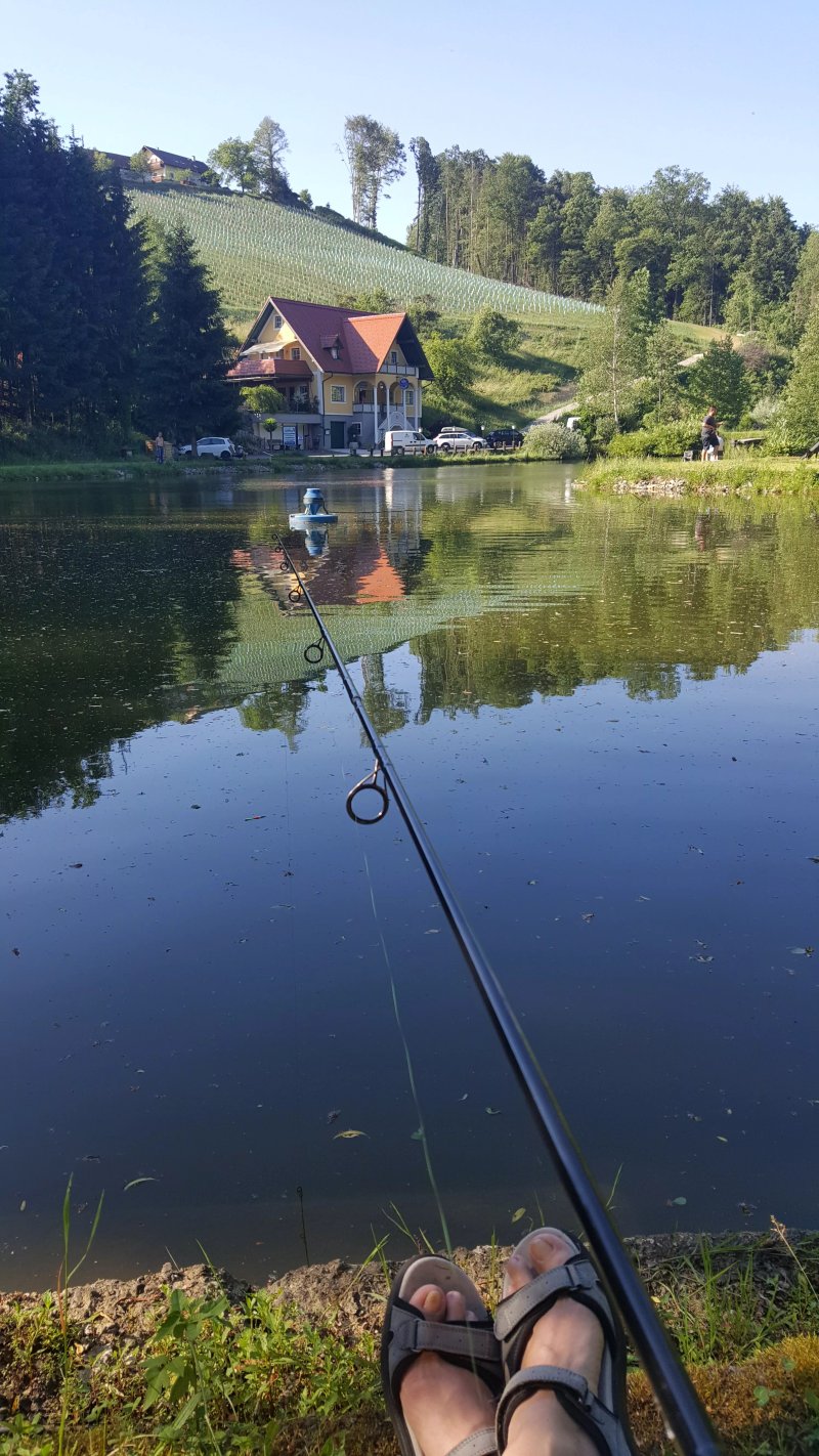Gasthaus Hiaslbauerteich