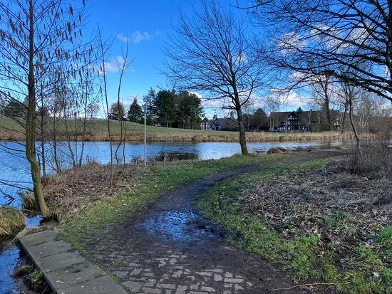 Allertal Im Stadtischen Bereich Von Gifhorn