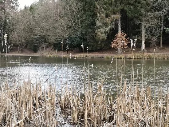 Mallards Pike