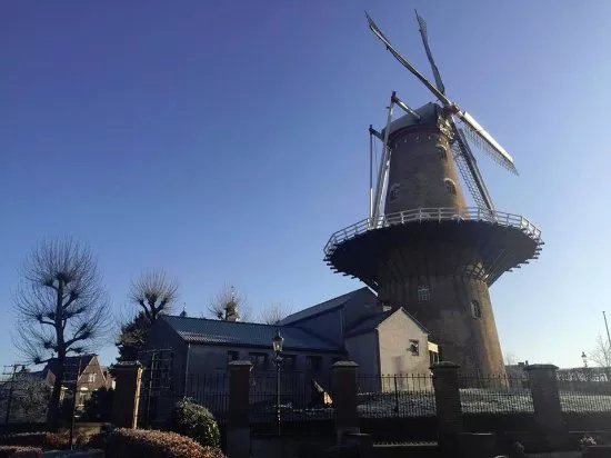 Wilskracht Stadsbrouwerij Ravenstein