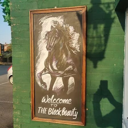 The Black Beauty