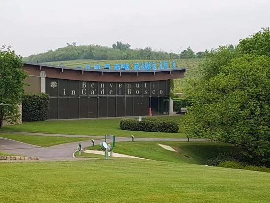 Ca' del Bosco