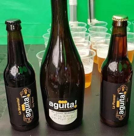 Aguita Cerveza Artesanal