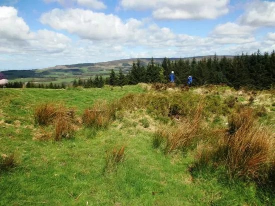 Beacon Fell Country Park