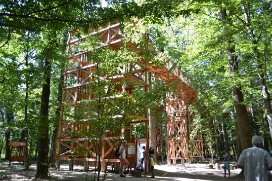 Kaszo Lombkorona Trail