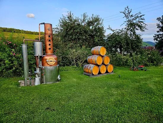Weingut Raevenhof