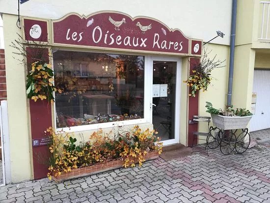 Les Oiseaux Rares