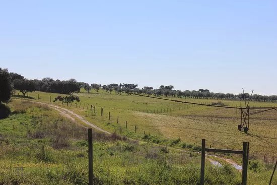 Terreiro da Batalha de Montes Claros