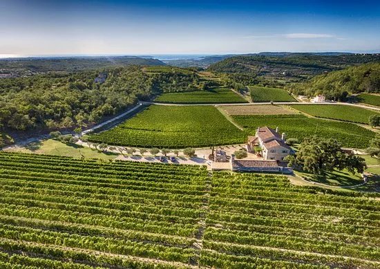 Kabola Winery