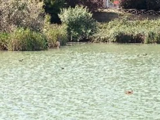 Parco Giovanni Paolo II (Gia Parco La Cava)