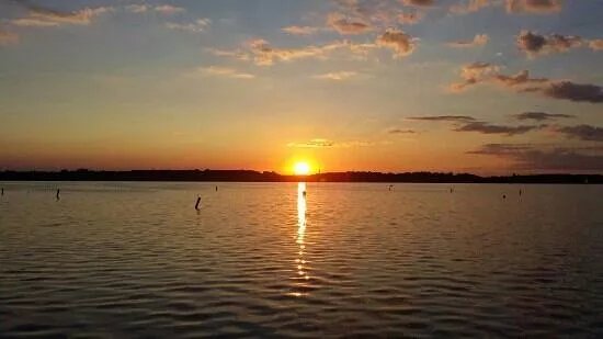Cospudener See
