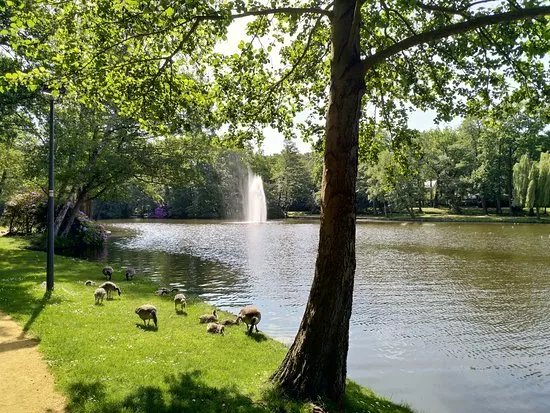 Molenvijverpark