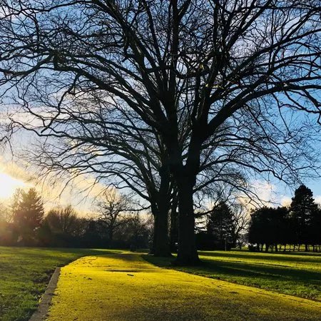 Roundwood Park