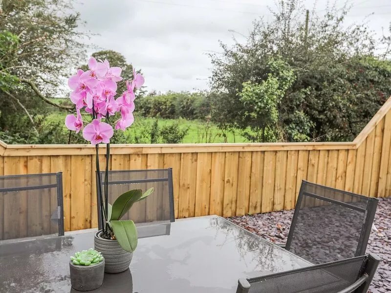 2 TAN RHIW, pet friendly, with open fire in Llanfairpwllgwyngyll