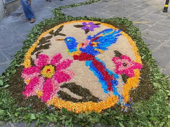 Infiorata Di Fucecchio