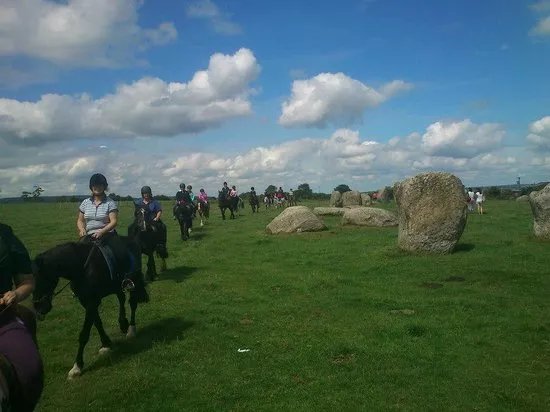 Bank House Equestrian - Private Rides