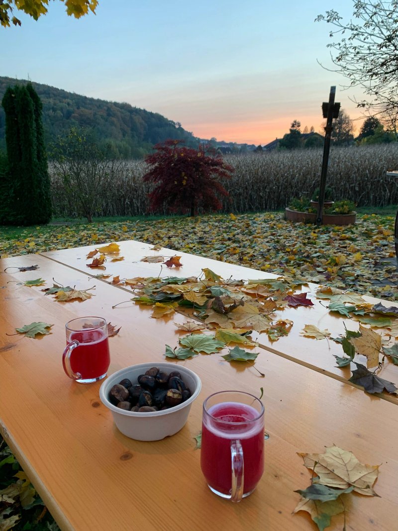 Cafe Restaurant zum Campi