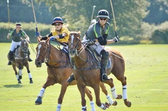 Vaux Park Polo Club