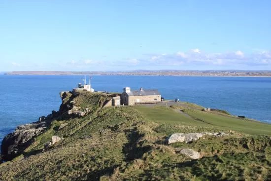 The Island - Pendinas